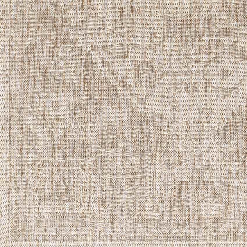 Alvord Traditional Beige Area Rug