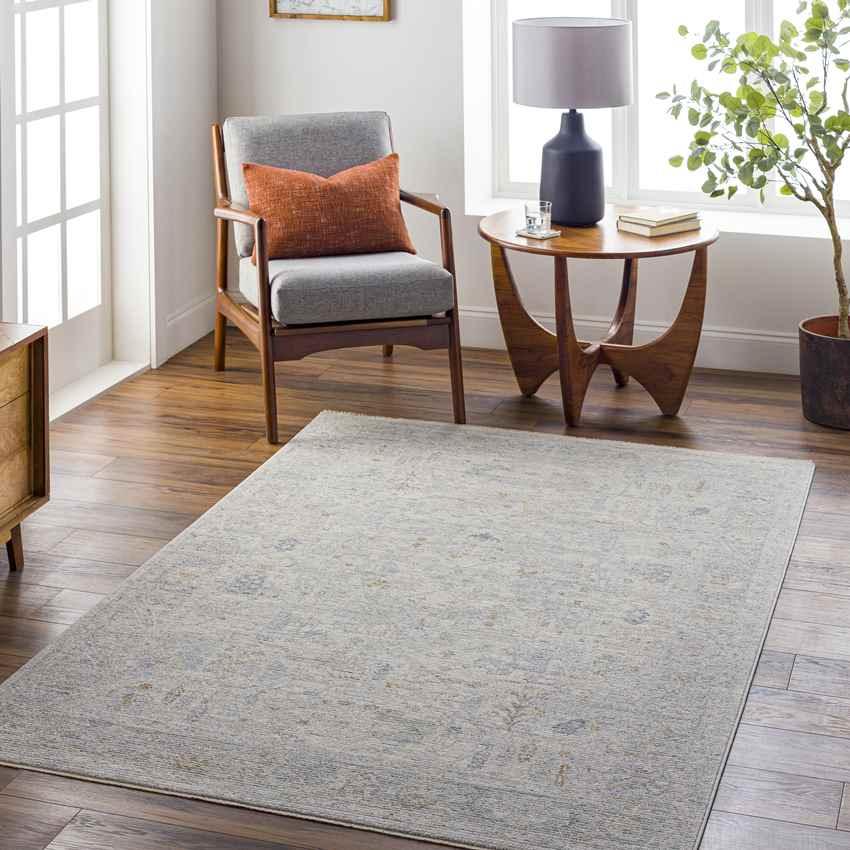 Anthony Traditional Beige Area Rug