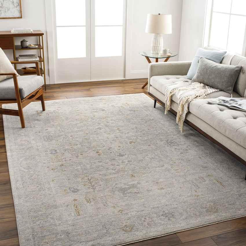 Anthony Traditional Beige Area Rug