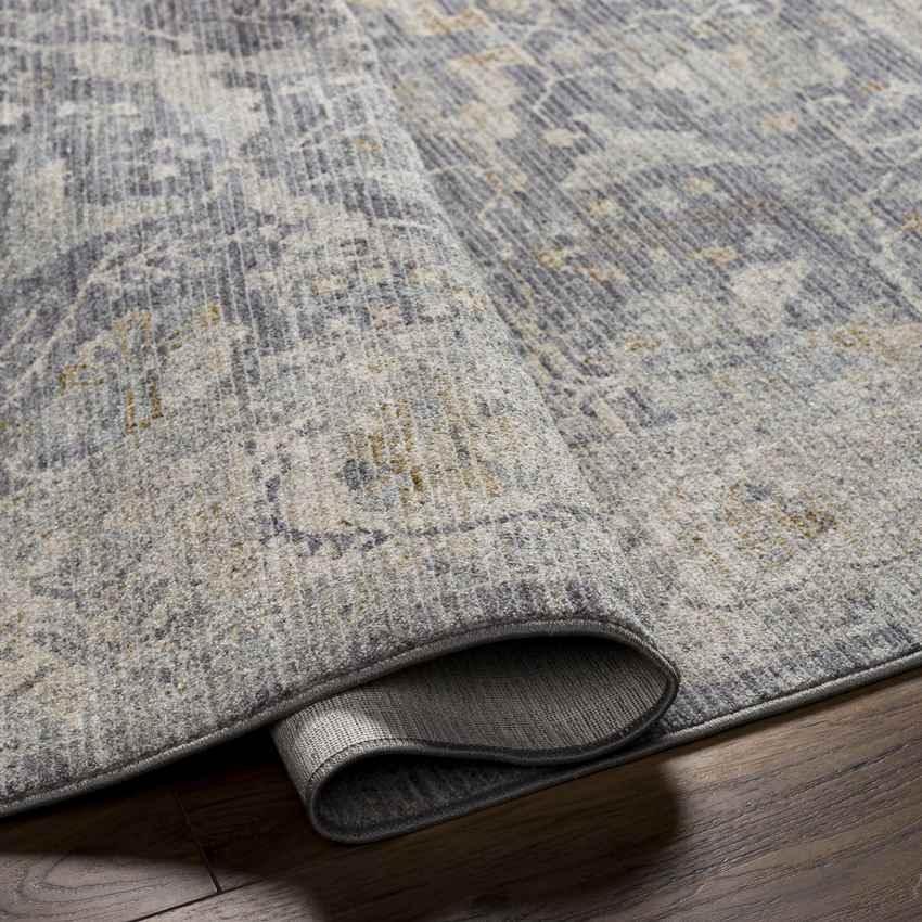 Anthony Traditional Taupe Area Rug