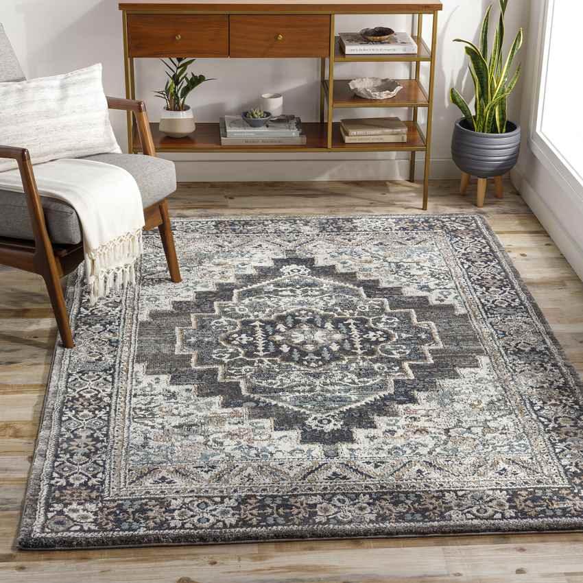 North Judson Traditional Charcoal Area Rug