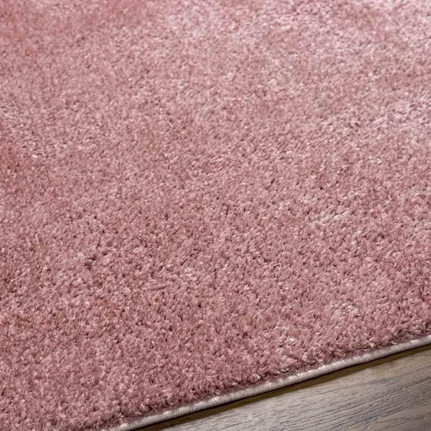 Richlawn Modern Coral Pink Washable Area Rug