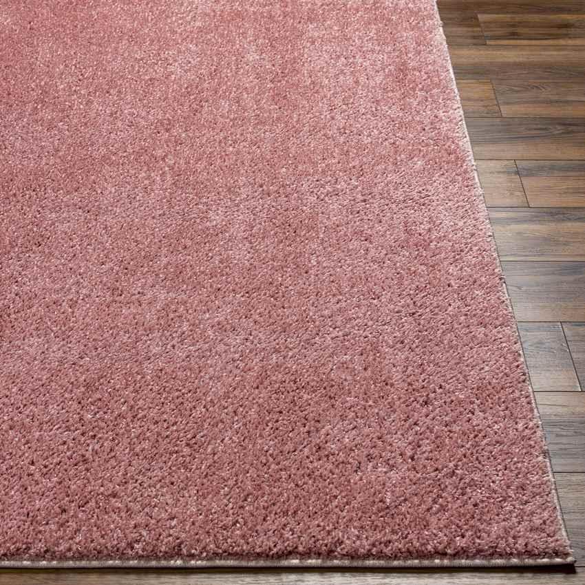 Richlawn Modern Coral Pink Washable Area Rug