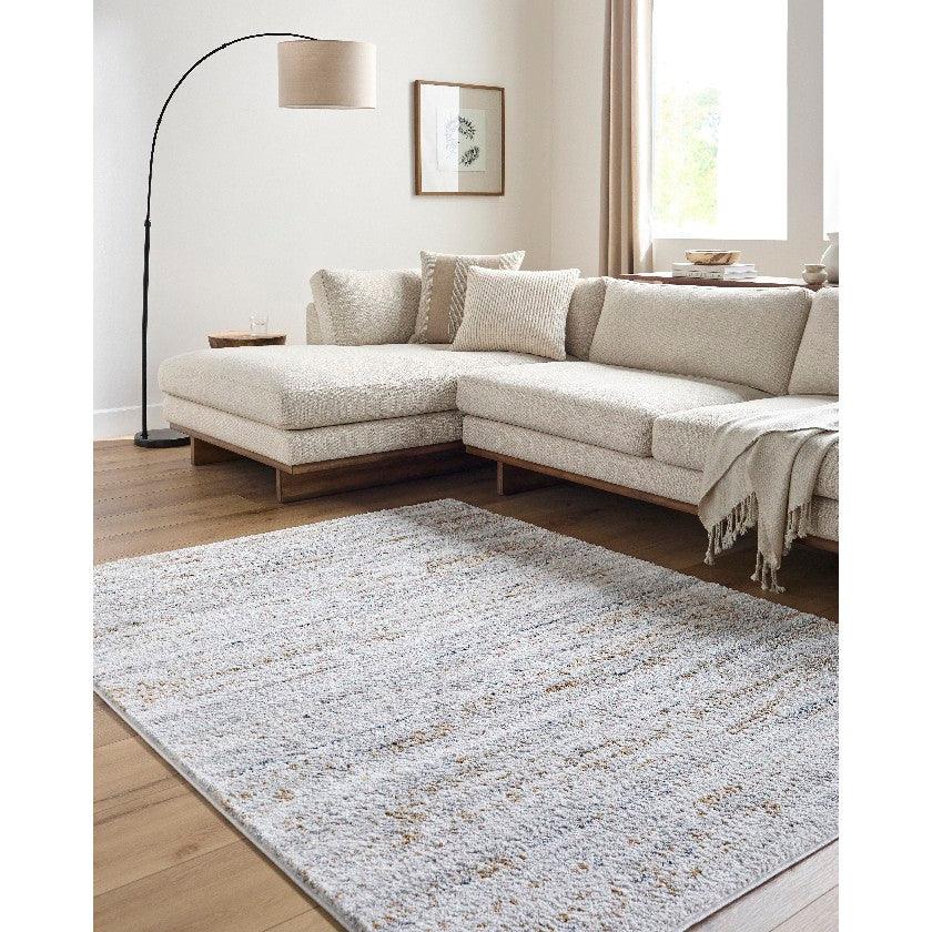 Sulma Solid and Border Light Gray Area Rug
