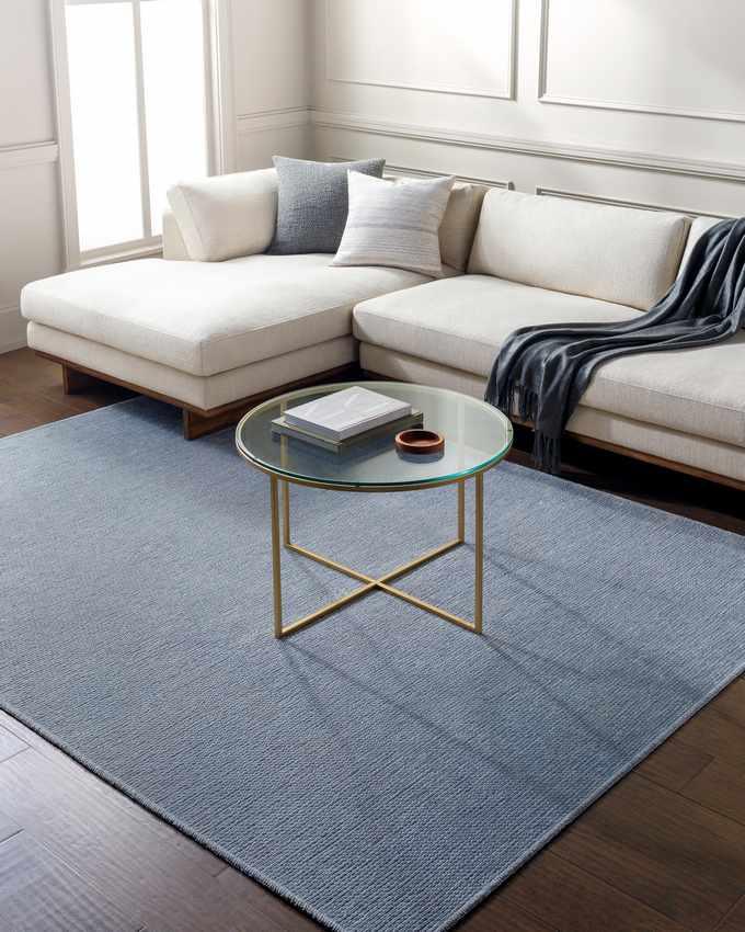 Tobey Solid and Border Light Gray Washable Area Rug