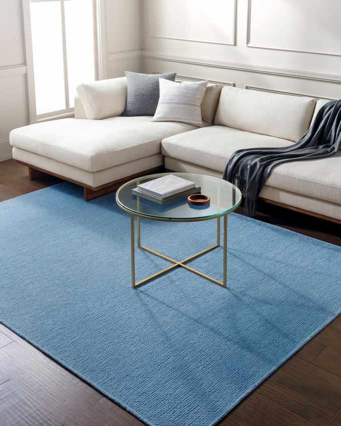 Tobey Solid and Border Pale Blue Washable Area Rug