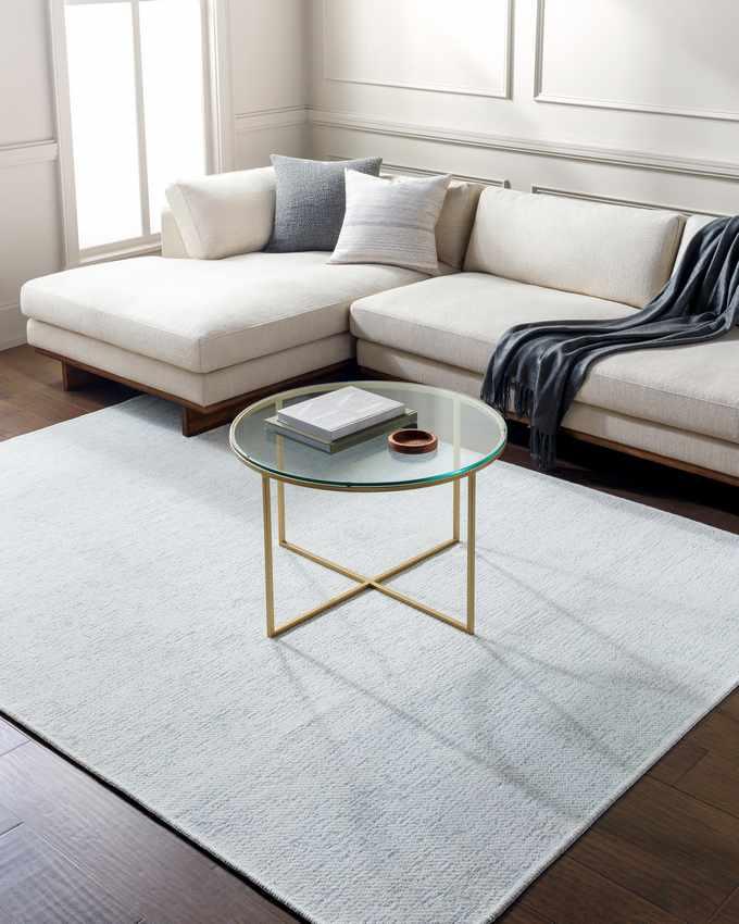 Tobey Solid and Border White Washable Area Rug