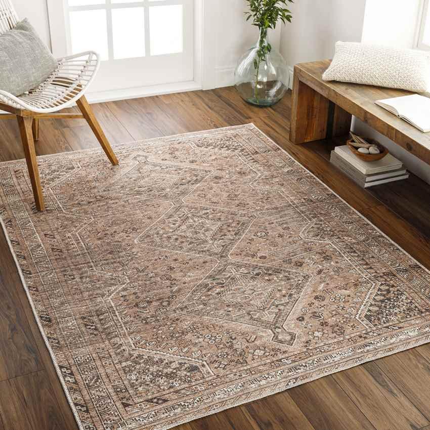 Tonganoxie Traditional Cider Washable Area Rug