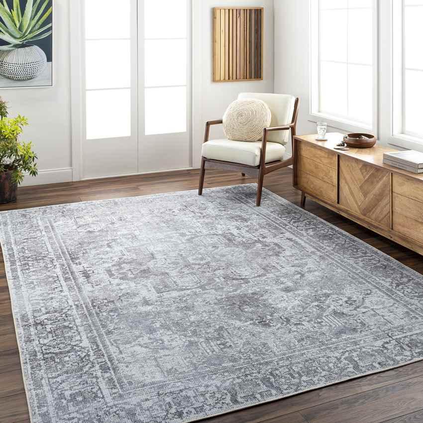 Whitten Traditional Light Gray Washable Area Rug