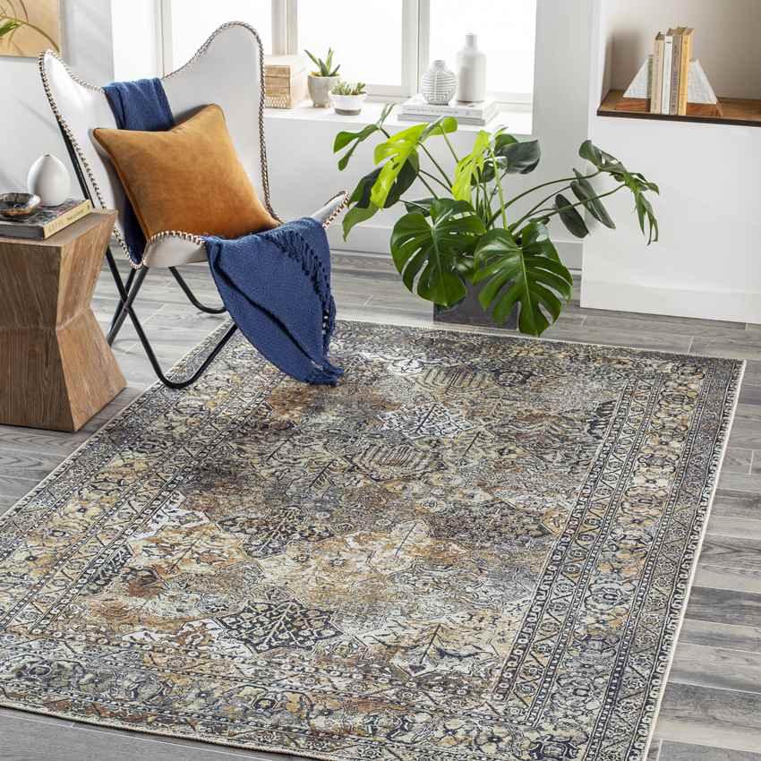 Willey Traditional Charcoal Washable Area Rug